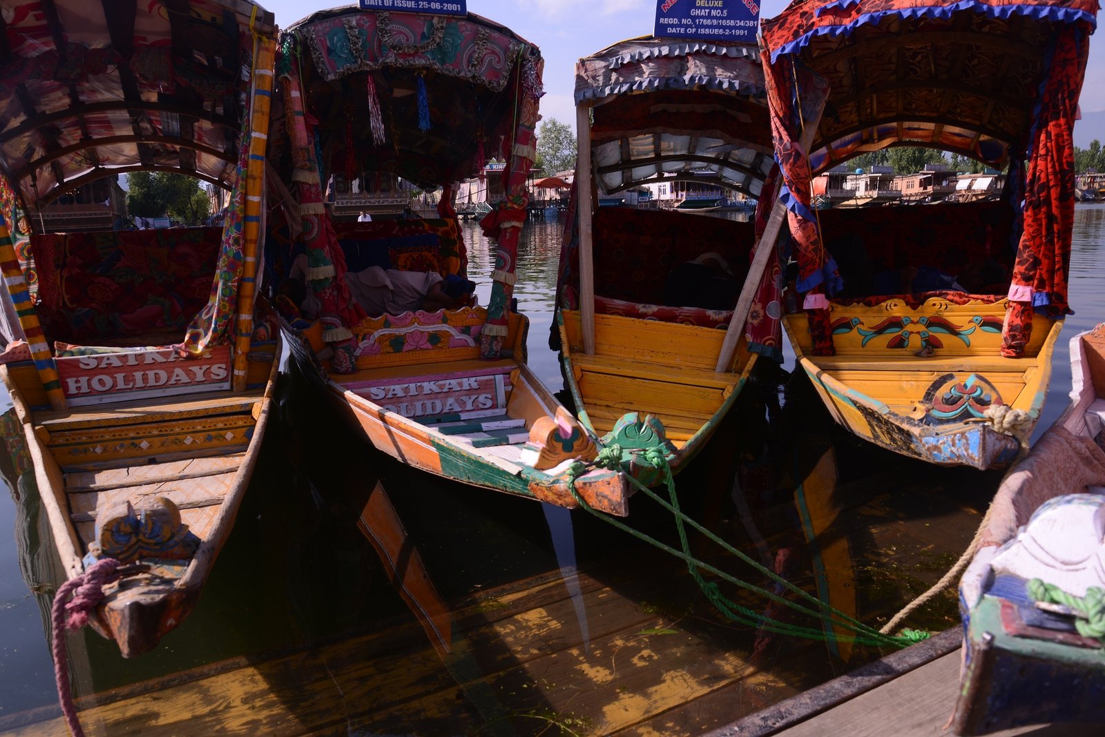 Decorated boats at Dal Lake